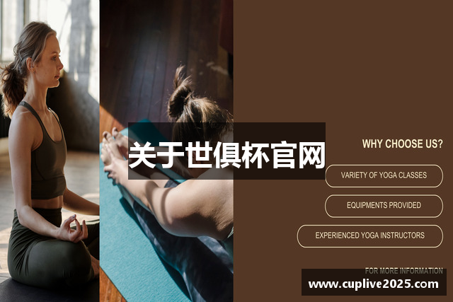 关于世俱杯官网